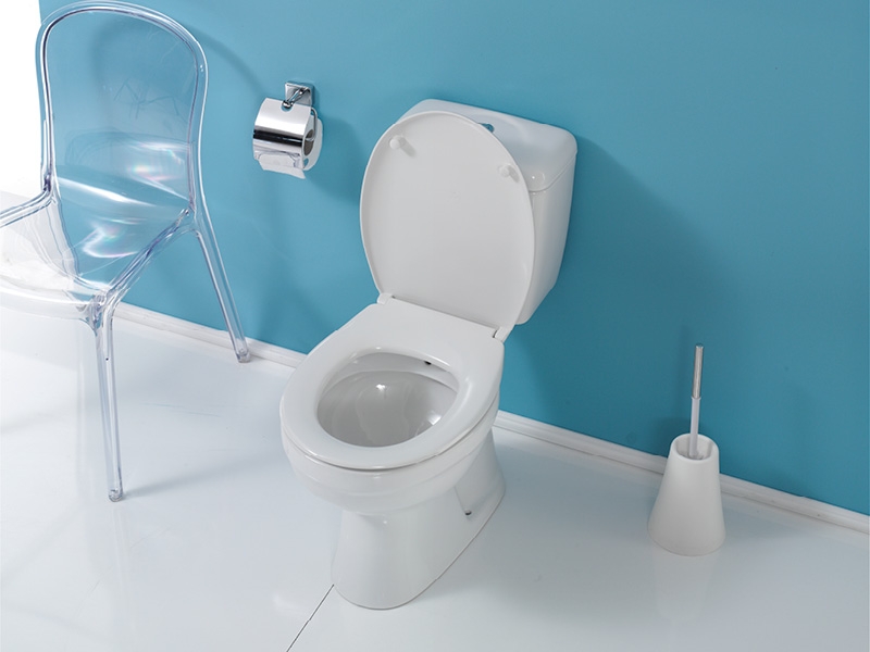 CLOSE COUPLE BACK TO WALL LILA S TRAP(VERTICAL) WHITE