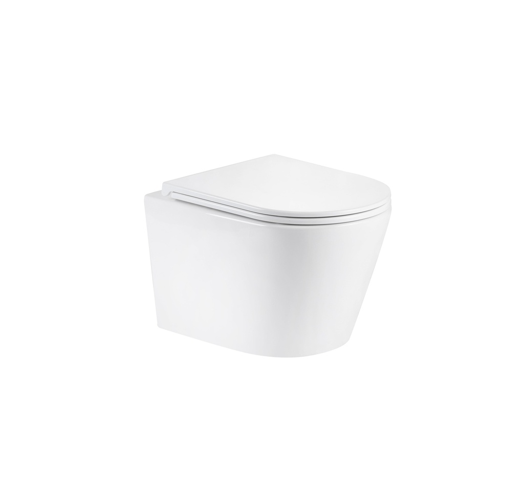 TRW1098 TREDEX TR+ Cyclone Wall-Hung WC, Seat & Cover, White
