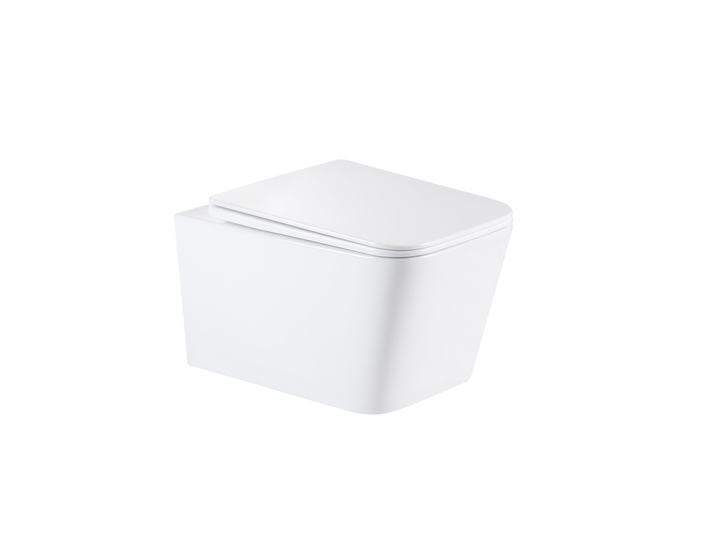 TRW1099 TREDEX TS+ Cyclone Wall-Hung WC , Seat & Cover, White