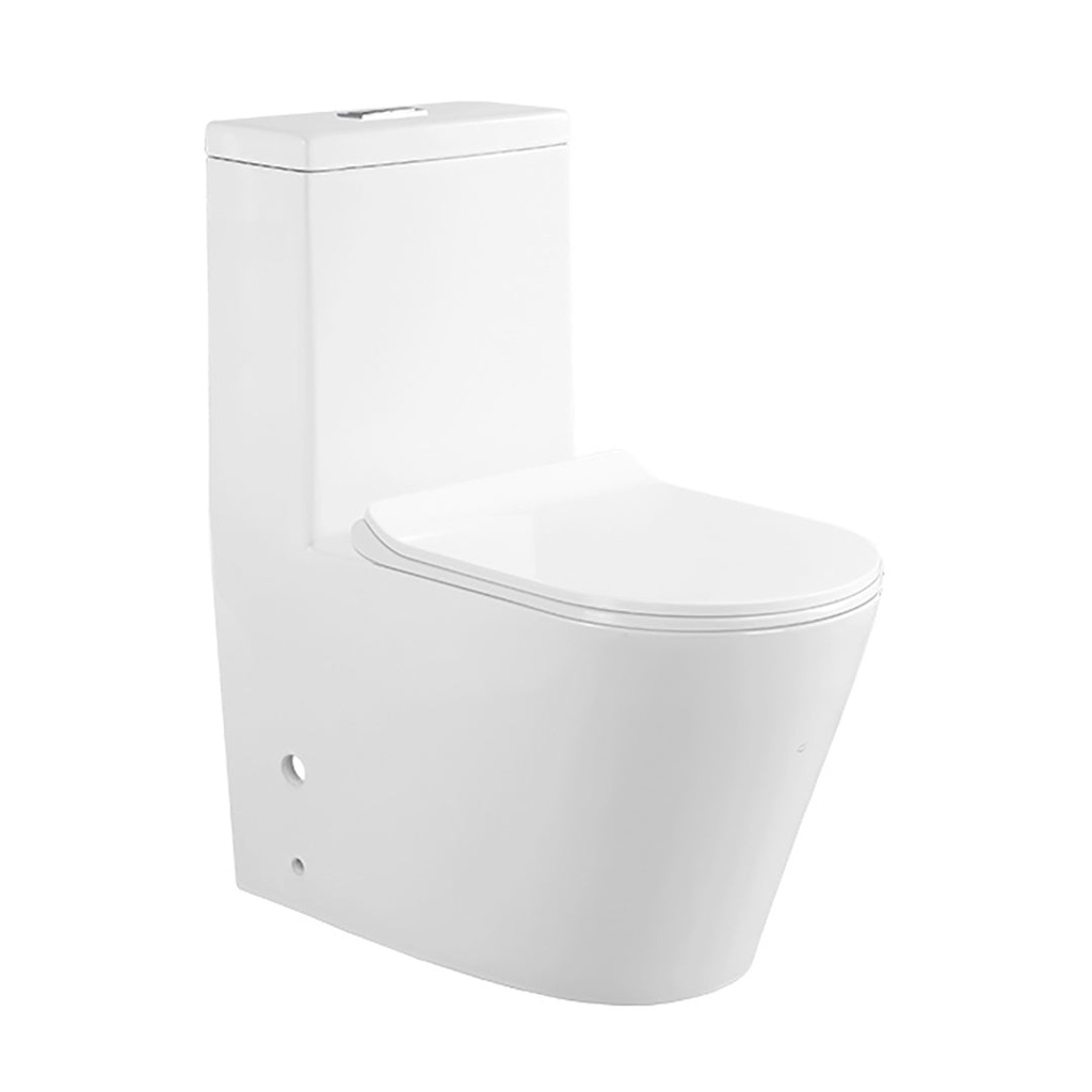 TRW1081 TREDEX T.R One-Piece WC, Seat & Cover,S-Trap,250mm White