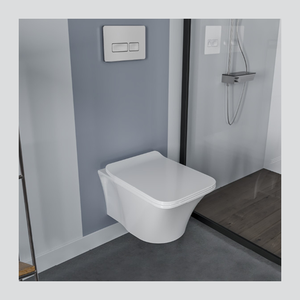 Sanitary / Toilet Sets