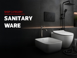 Sanitary