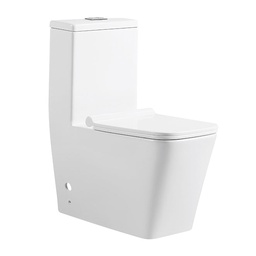 [TRW1083] TRW1083 TREDEX T.S One-Piece WC, Seat & Cover, S-Trap, 250mm White